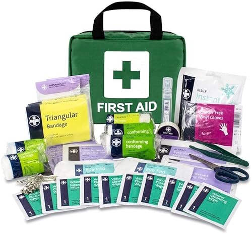 LEWIS-PLAST Kit completo de primeros auxilios 90 Piezas de primeros auxilios al aire libre - kit que cumple con las normas europeas
